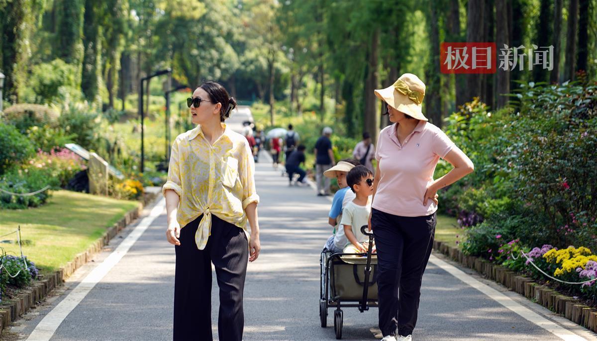 富宝国际手机娱乐